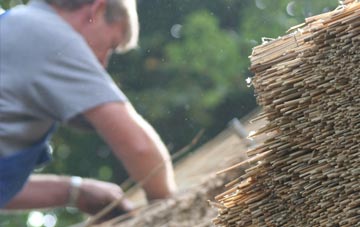 professional Bussage thatchers